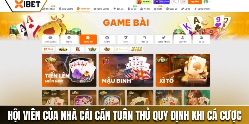 Hội viên của nhà cái cần tuân thủ quy định khi cá cược