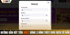 hướng dẫn rút tiền xibet